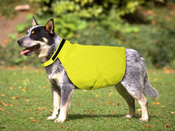 Insect Shield Refleksvest-neongul vest til hunde med insektbeskyttelse
