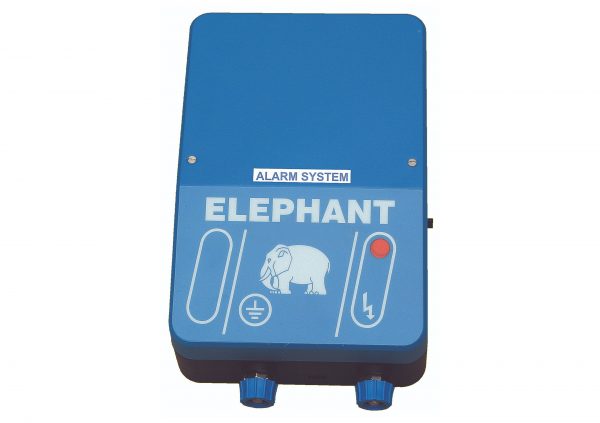 Blå Elefanthegn