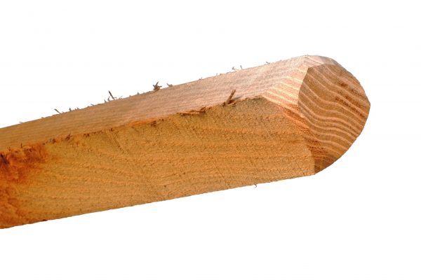 Hegnspæl/vinstok 150cm-18x24