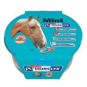 Turkis Sliksten Mini Horslyx Mint 650g -til heste
