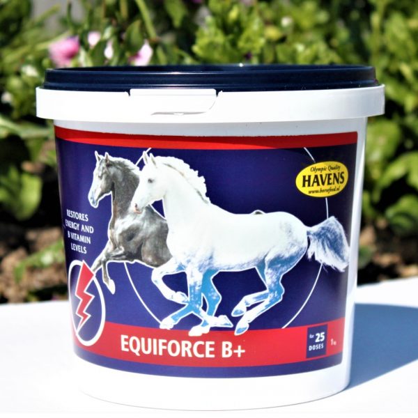 Equiforce B vitamin til heste- 1 kg