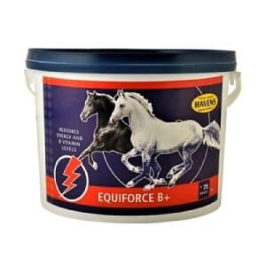Equiforce b vitamin til heste 3 kg