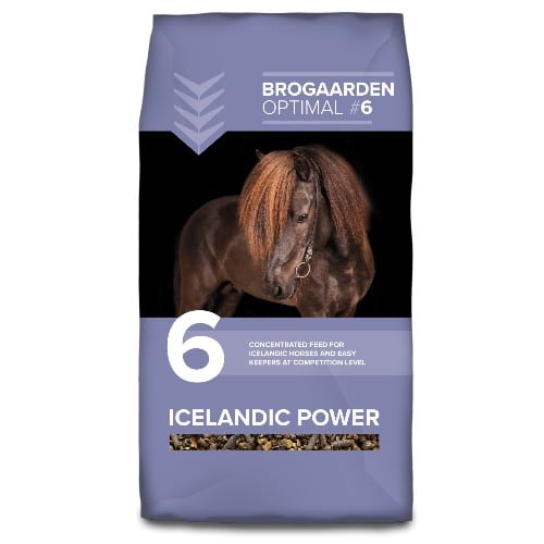 En sæk foder til islandske heste