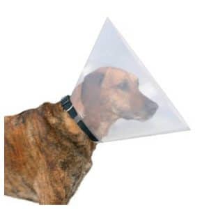 hund med transparent beskyttelses krave