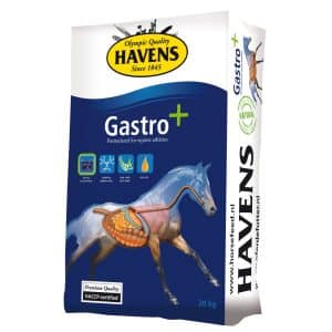 Blå sæk med 20 kg Havens Gastro+, til heste med problemer med maven